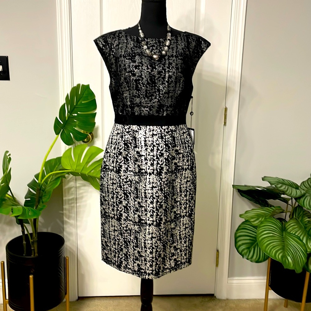 Adrianna Papell Cocktail Dress